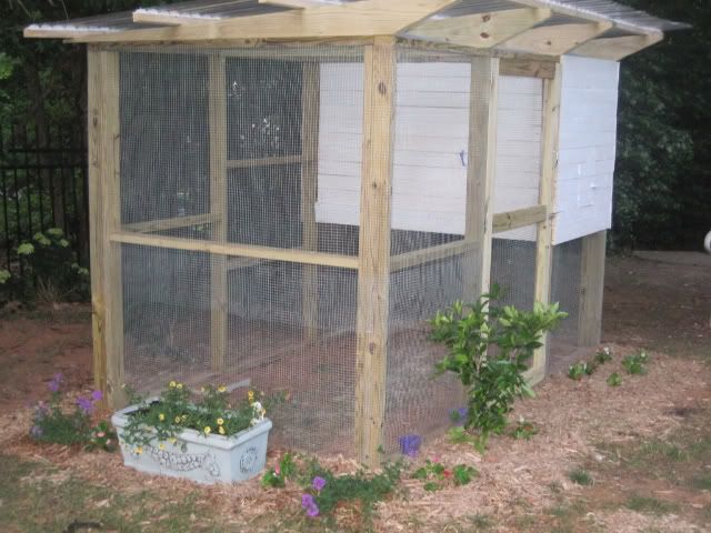 20100523_3.jpg