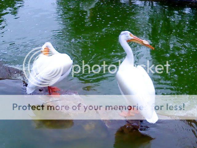 DSC00315.jpg