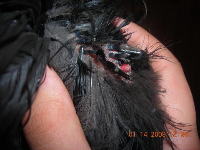 DSCN1815.jpg