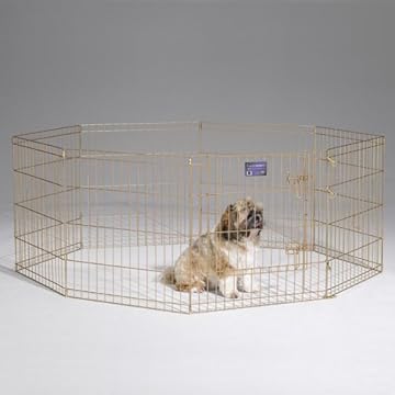 51ezK7-Wu9L._SS360_.jpg
