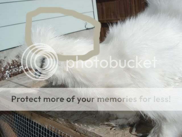 s2.jpg