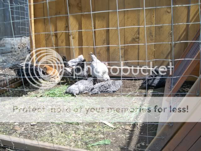 100_1263.jpg