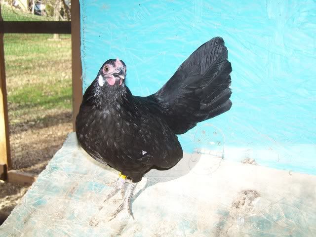 188.jpg