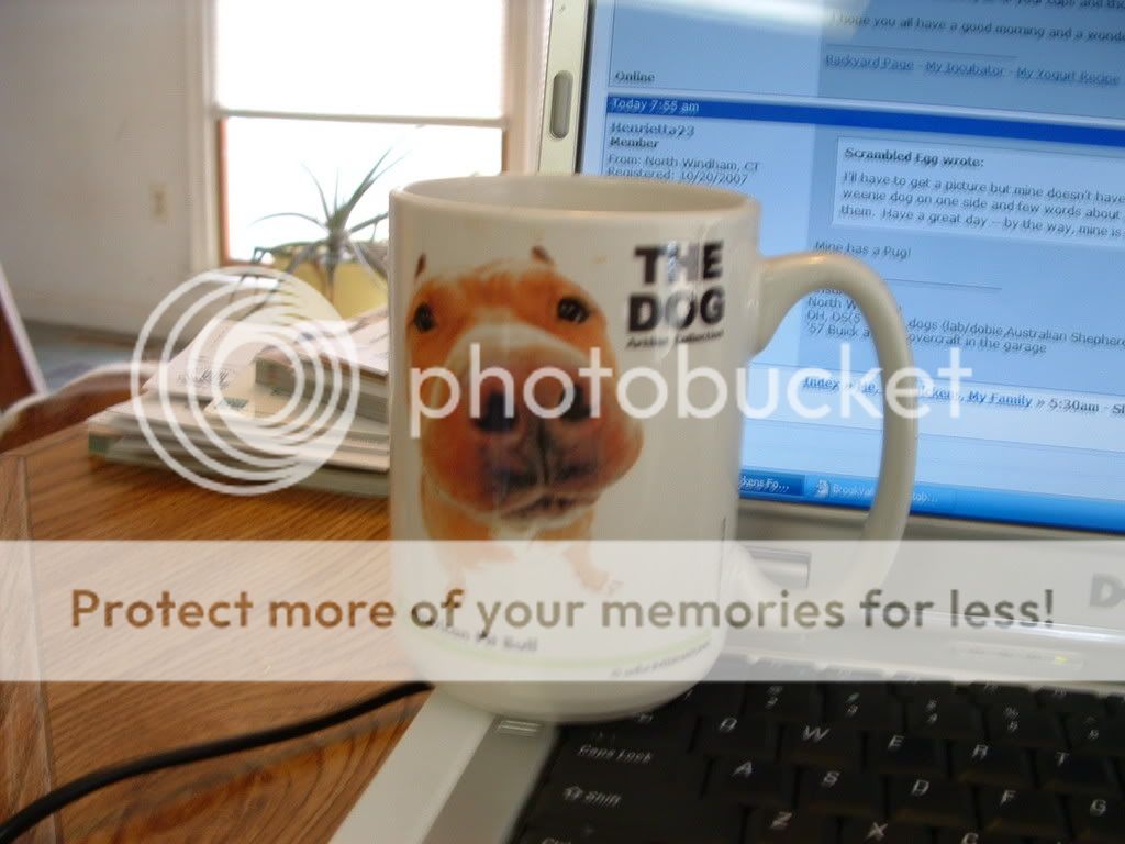 Mug.jpg