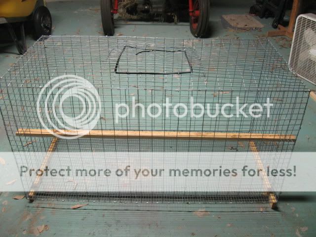 Pictureb113.jpg