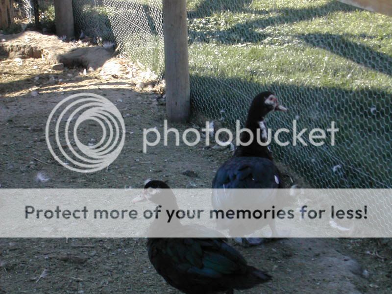 DSCN2865.jpg
