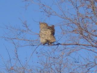 IMG_0890.jpg