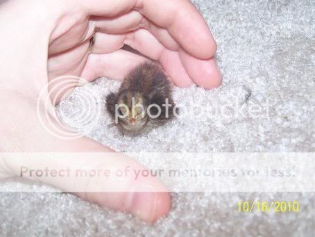 100_6108.jpg
