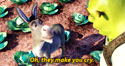 tumblr_n3jr2gIInx1s12wx1o3_250.gif