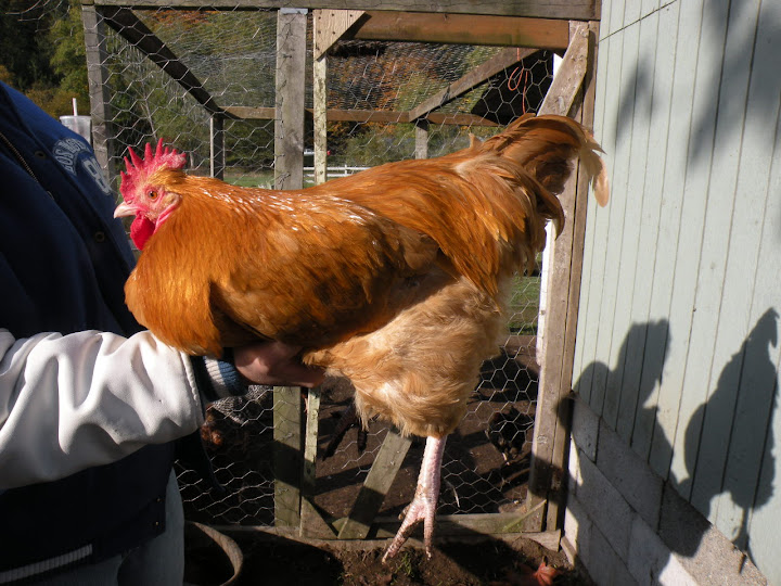 DSCN1208.jpg