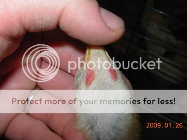 DSCN3360.jpg