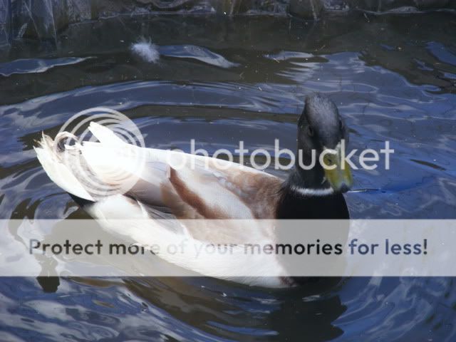 Picture001.jpg