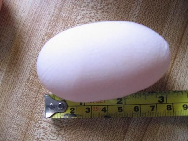 Picture.jpg