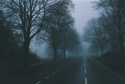 tumblr_m00ywcplWX1r3n6mao1_500.jpg
