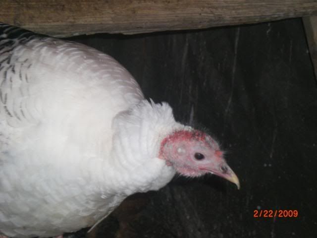 025-4.jpg