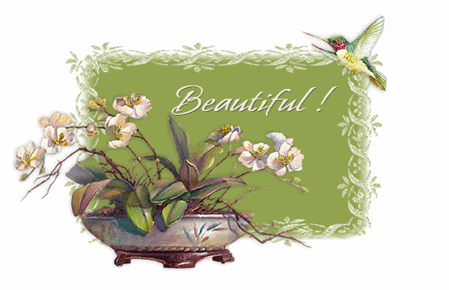 Beautiful624.gif