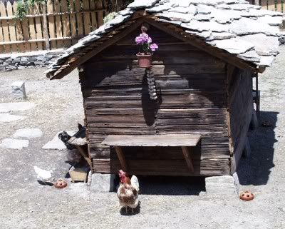 chickencoop1.jpg