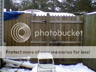 PICTURESOFMYDUCKPEN003.jpg