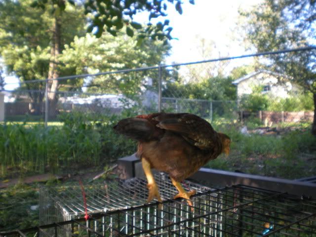 DSCN0649.jpg
