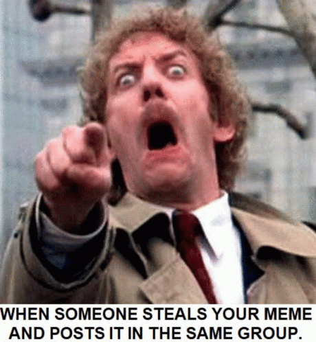 donald-s-meme.gif
