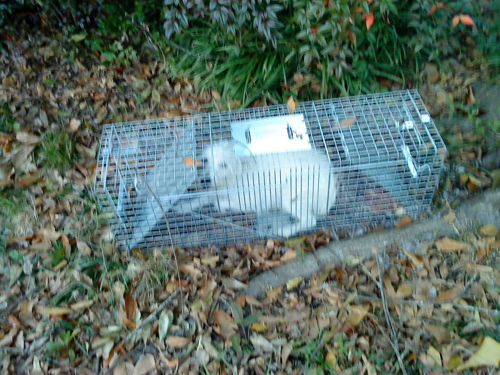 DSC00157.jpg
