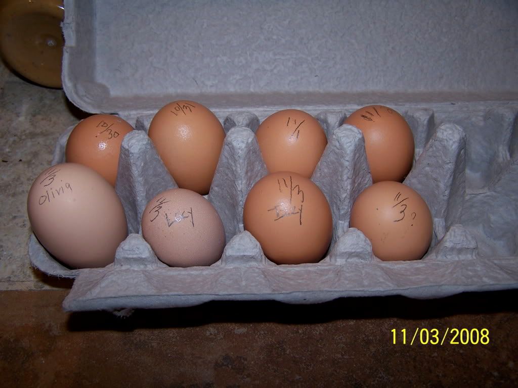 Firsteggs.jpg