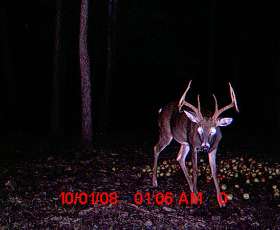 1049938591_LitE5-M.jpg