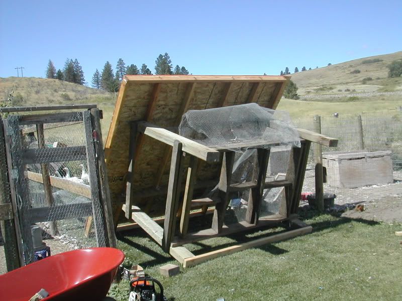 DSCN4732.jpg