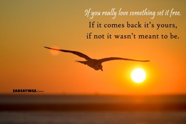 sadsayings-4575-600x400.jpg