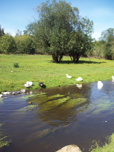 100_4297.JPG