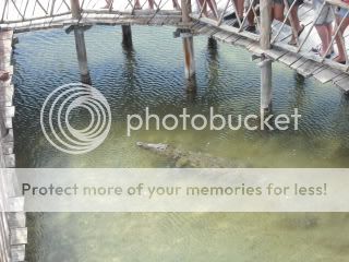 COZUMEL_09082.jpg