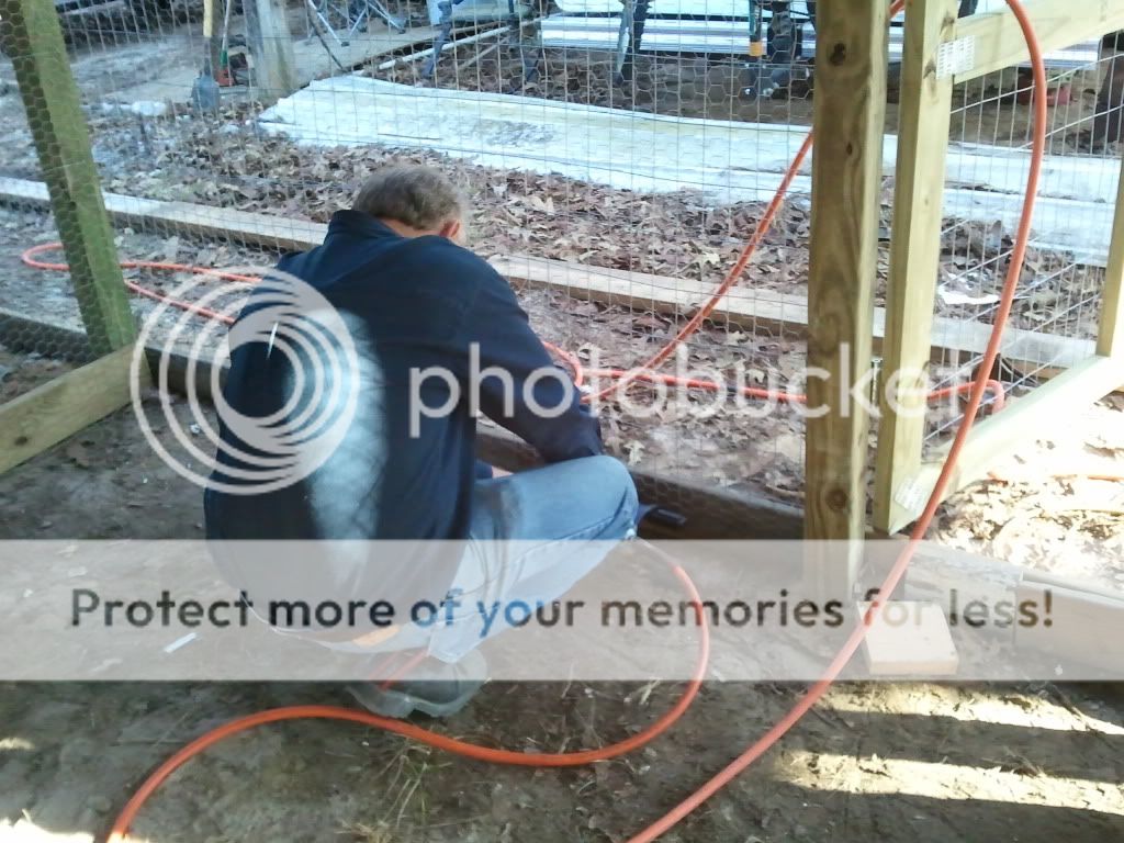 2011-03-11155258.jpg