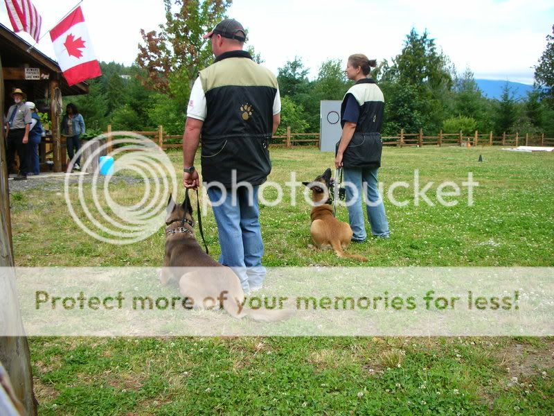 DSCN9669.jpg