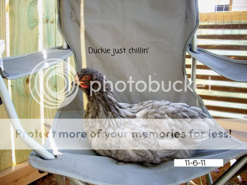 Duckie.jpg