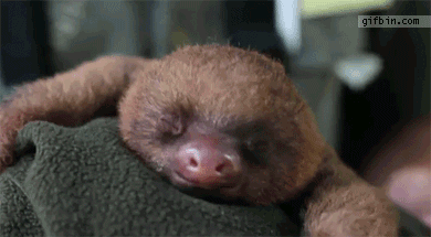 tumblr_inline_nik660AlvM1t09k6m.gif