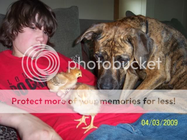 100_1407.jpg