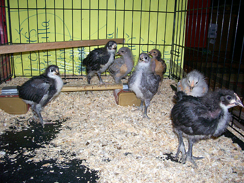 group2.jpg