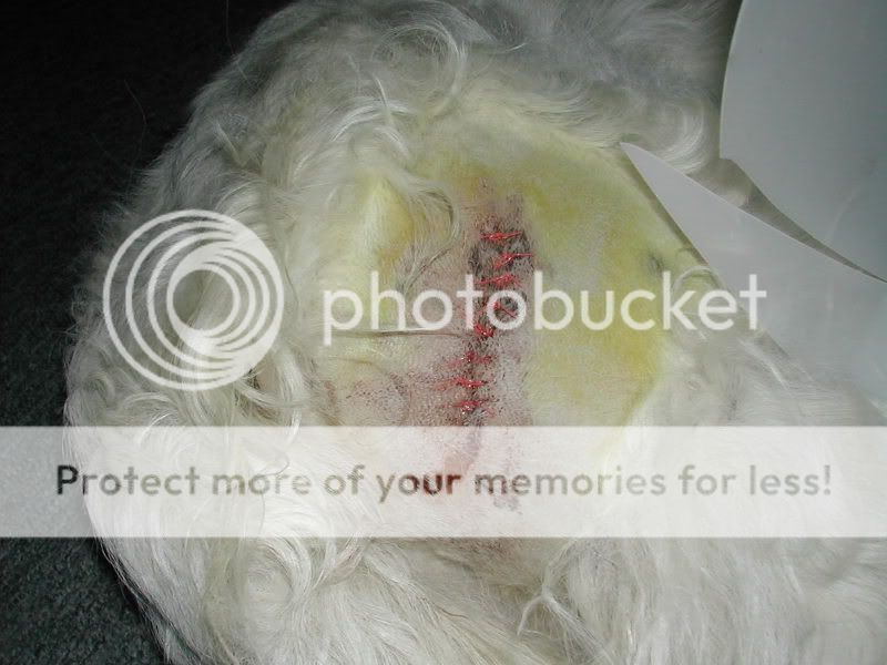DSCN2932.jpg