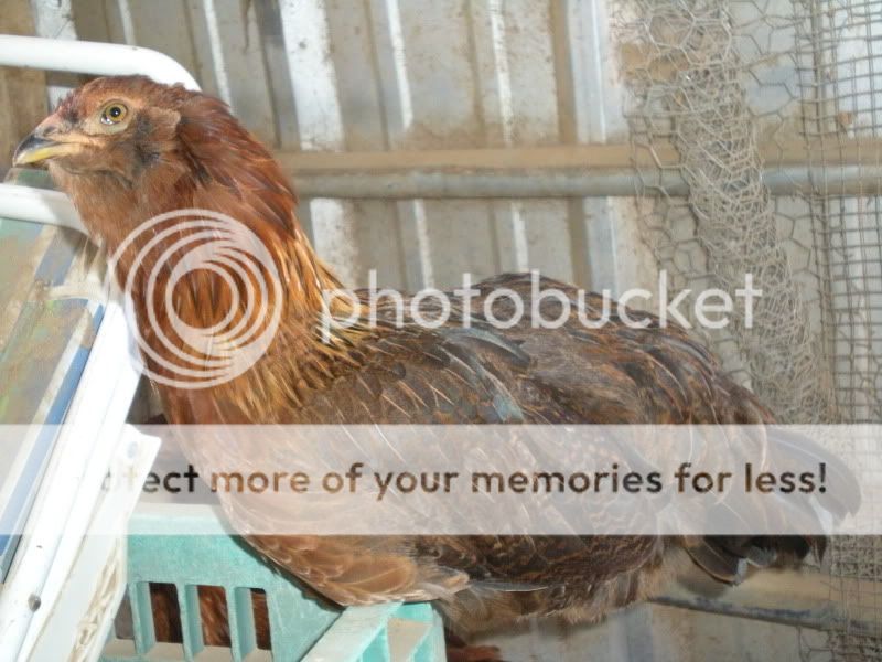 july302010097.jpg