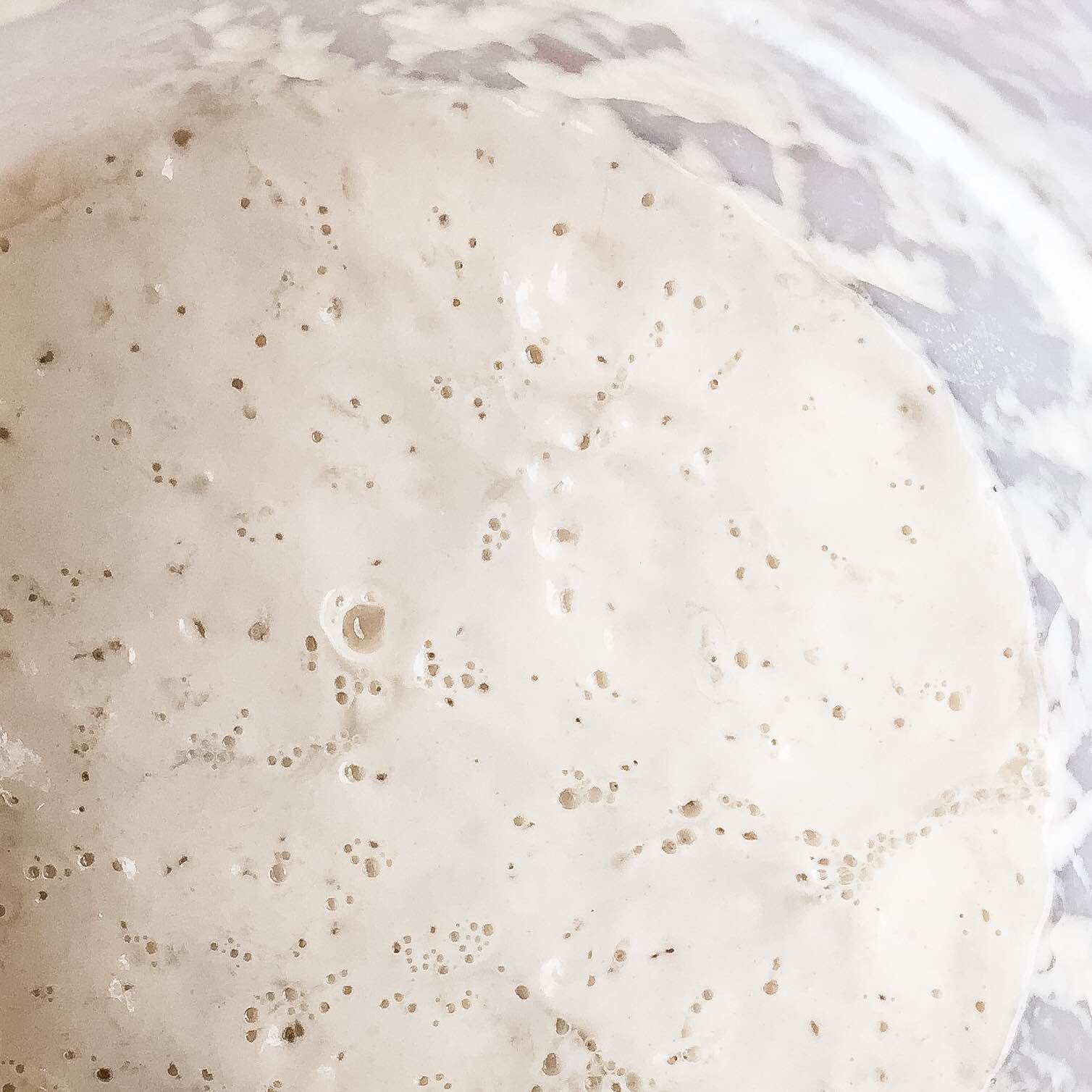 Make Your Own Sourdough Starter