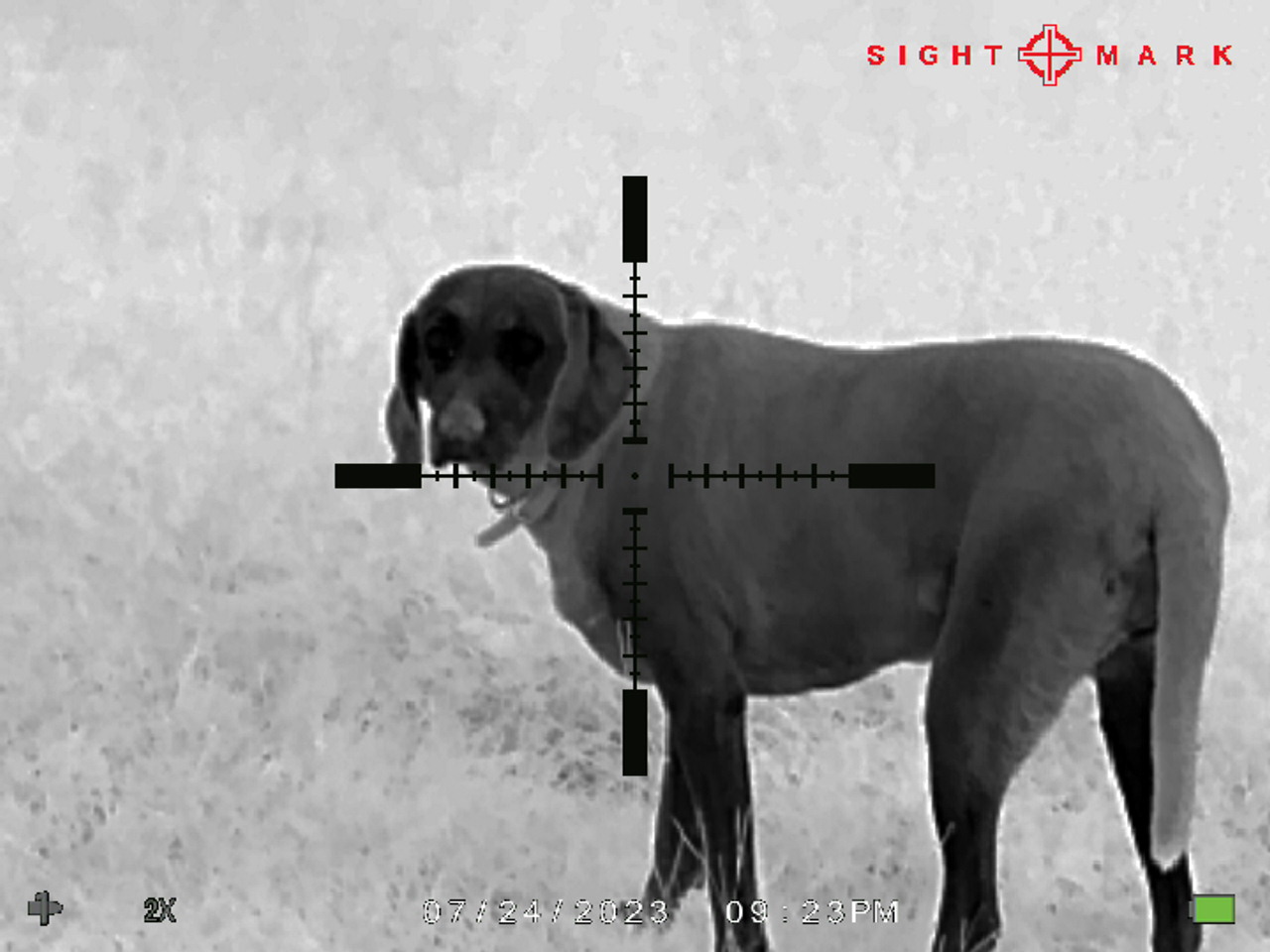 DsnR44o.jpg