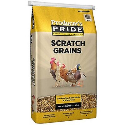 Scratch Grain 50 lb LOTS Producers Pride Adult Chicken Nutrition SHIPS FREE  | eBay
