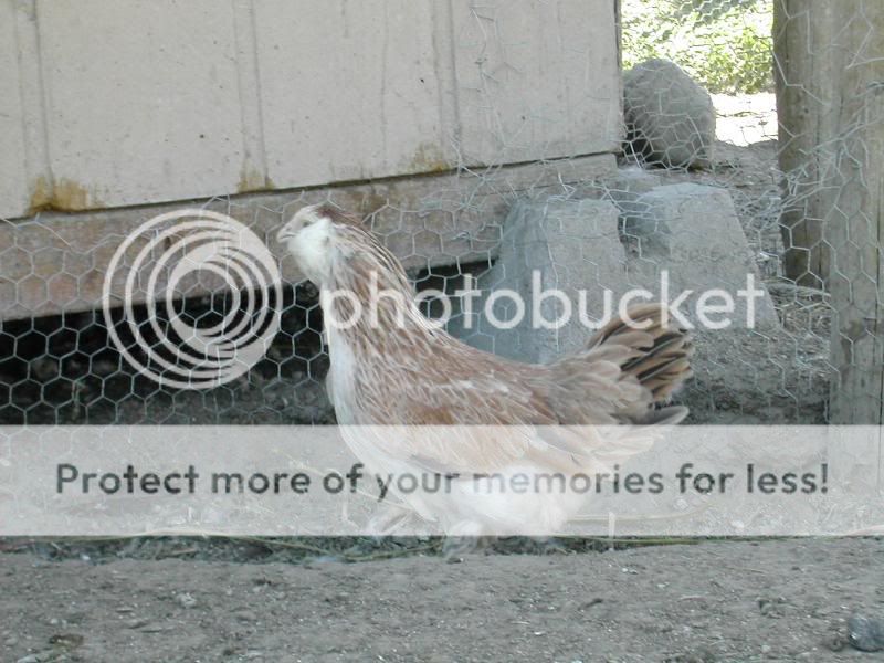 DSCN2722.jpg