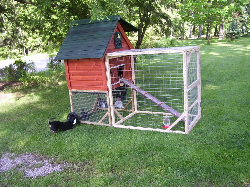 doghousecoop.jpg