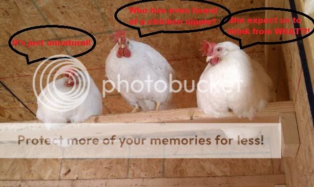 CKNcontest.jpg