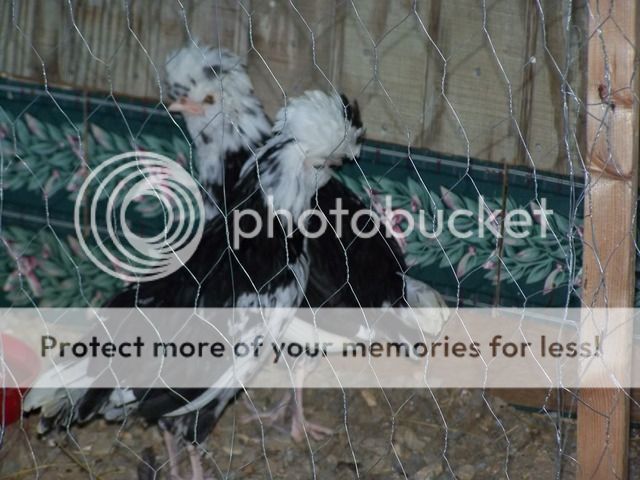 100_7088.jpg
