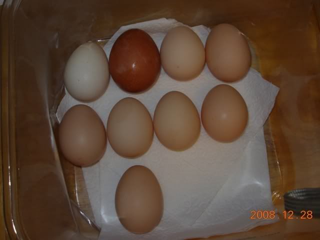 DSCN3133.jpg