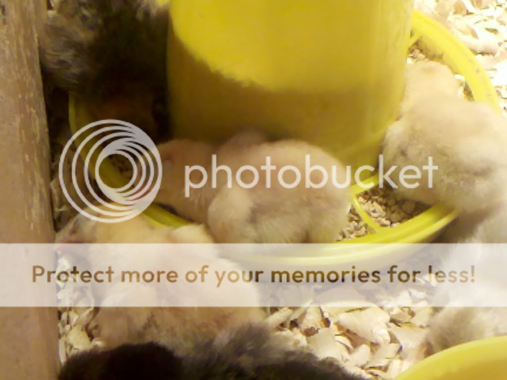 2011-05-06_16-48-27_357.jpg