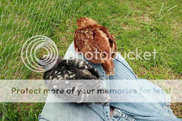 sleepin.jpg