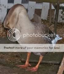 file-30.jpg